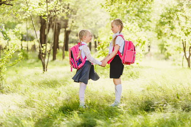 two little Schoolgirls in school uniform hold hands and looking at each other outdoors - Valokuva, kuva