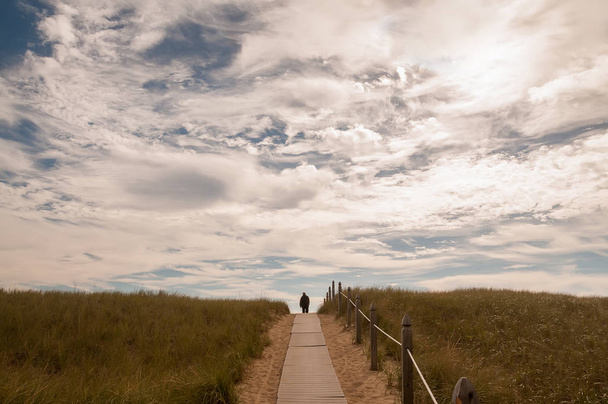 Passage to the sea among the dry grass and the silhouette of a man at the end of the path. The coast of the Atlantic Ocean. USA. Maine. - Фото, изображение