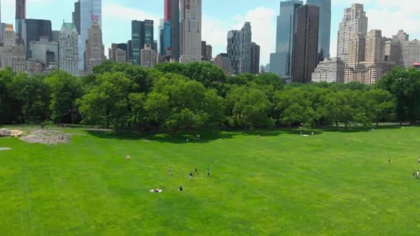 Bovenaanzicht van central park in new york - Video