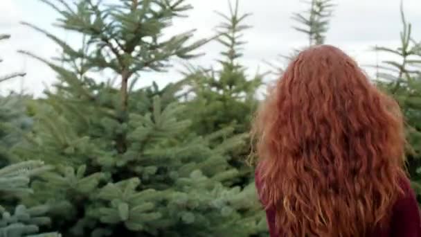 森で陽気な赤髪の女性 - 映像、動画