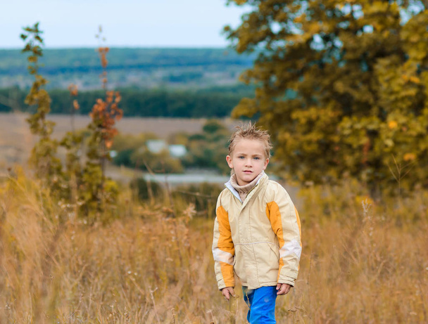 cute little boy in yellow jacket for walk on autumn meadow - Zdjęcie, obraz
