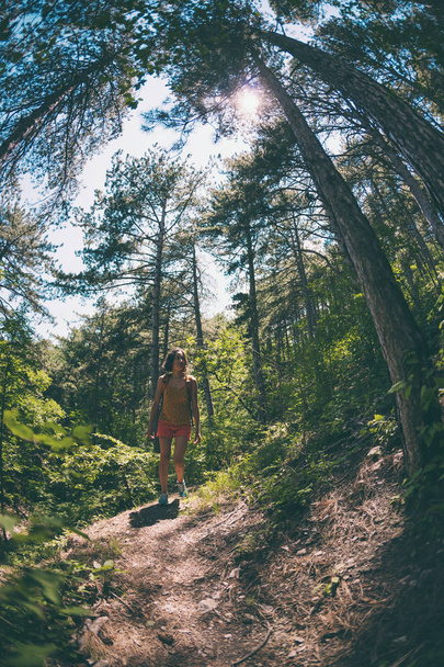 The girl is walking through the forest. A young woman with a backpack travels through picturesque places. A tourist walks along a mountain path. Fisheye lens. - Фото, зображення