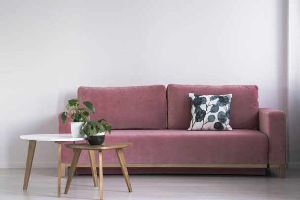 Pink sofa with a patterned pillow and two coffee tables with plants on a white wall in a living room interior. Real photo - Foto, Imagem