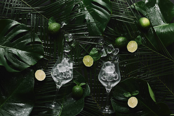 top view of glasses with ice cubes, fresh limes and green tropical leaves - Fotoğraf, Görsel