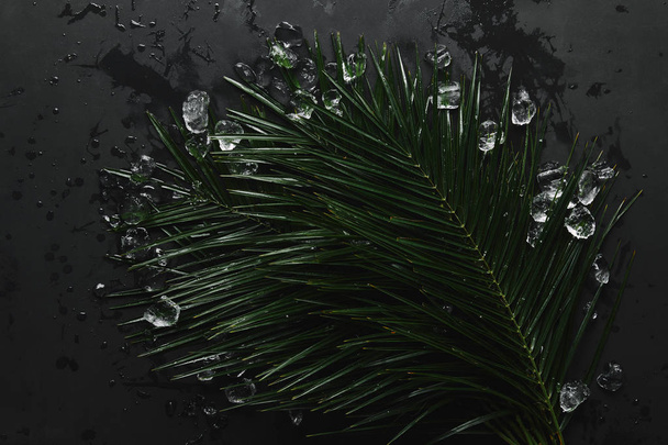 ylhäältä kaunis vihreä märkä palmunlehtiä ja jääkuutioita musta
  - Valokuva, kuva