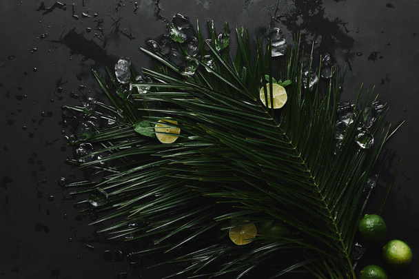 vista superior de limas frescas, cubitos de hielo y hermosas hojas de palma verde sobre negro
   - Foto, Imagen