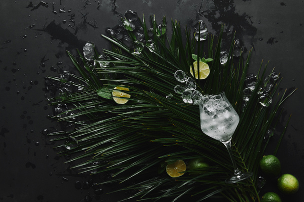 glass with ice cubes, fresh limes and green tropical leaves on black  - Фото, зображення