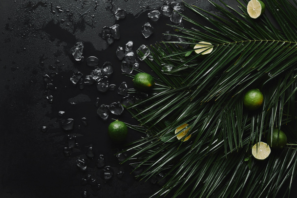 top view of whole and sliced limes, ice cubes and beautiful green palm leaves on black   - Photo, Image