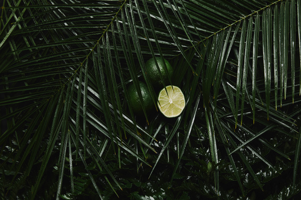 vista close-up de limas inteiras e fatiadas e belas folhas tropicais úmidas verdes
  - Foto, Imagem