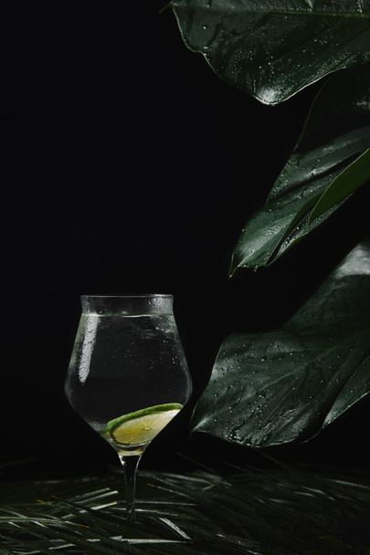 glass with refreshing beverage and wet green tropical leaves on black   - Photo, Image