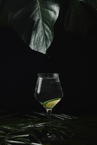 vista ravvicinata del vetro con bevanda rinfrescante e foglie tropicali verdi bagnate sul nero
    - Foto, immagini