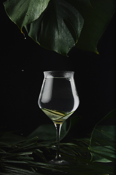 Nahaufnahme von Glas mit erfrischenden Getränken und Zitronenscheiben, grünen Blättern und Wassertropfen auf schwarz - Foto, Bild
