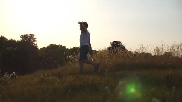 Junge mit erhobenen Flugzeughänden, die an einem sonnigen Tag auf grünem Gras auf dem Feld laufen. Kinder joggen auf dem Rasen im Freien. fröhliches männliches Kind, das Spaß in der Natur auf der Sommerwiese hat. Zeitlupe aus nächster Nähe - Filmmaterial, Video