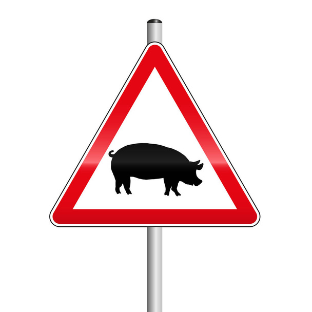 Vorsicht Straßenschild mit Schwein. Vorsicht vor den Schweinen auf der Straße. isoliert auf weiß. - Vektor, Bild