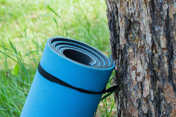 Alfombras gimnásticas o alfombras en el césped al aire libre cerca del árbol. Estera de yoga azul
 - Foto, Imagen