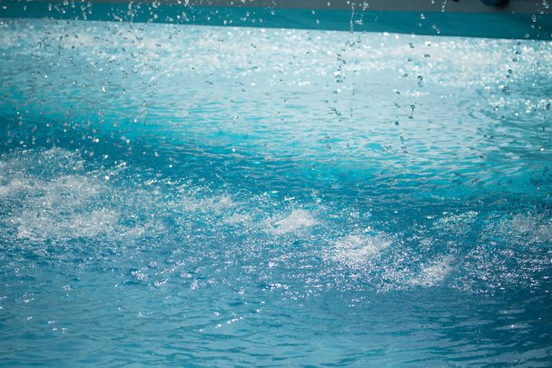 water in the swimming pool - 写真・画像