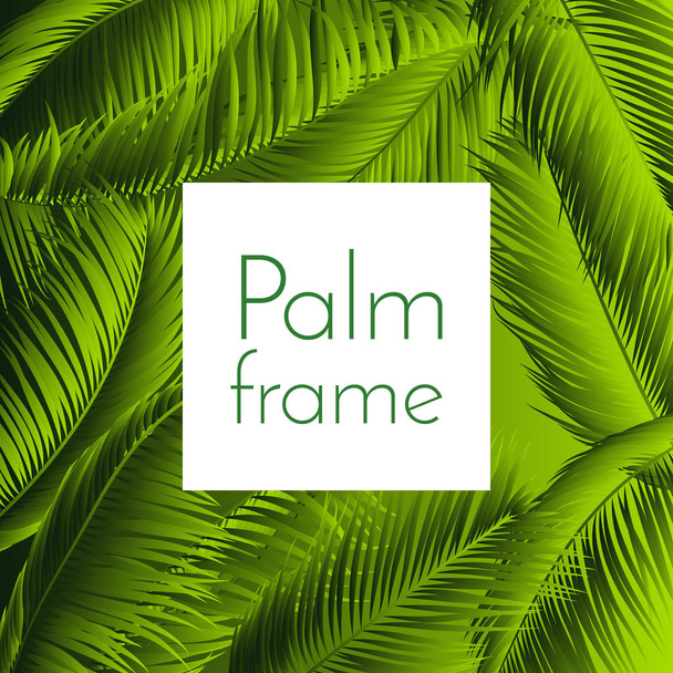 Palm Leaves Isolated. Realistic Branches Set. Vector Tropical Foliage. Floral Elements. Illustration of Jungle Plants. Tropic Palm Leaves for Pattern, Wallpaper, Print, Fabric, Textile or Your Design. - Vector, Image