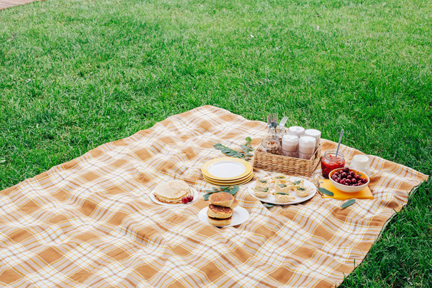 休暇中に芝生の上でピクニック。夕食の時間。さまざまな食品。食欲をそそる美味しい。ビーチからはドニエプル川の景色. - 写真・画像