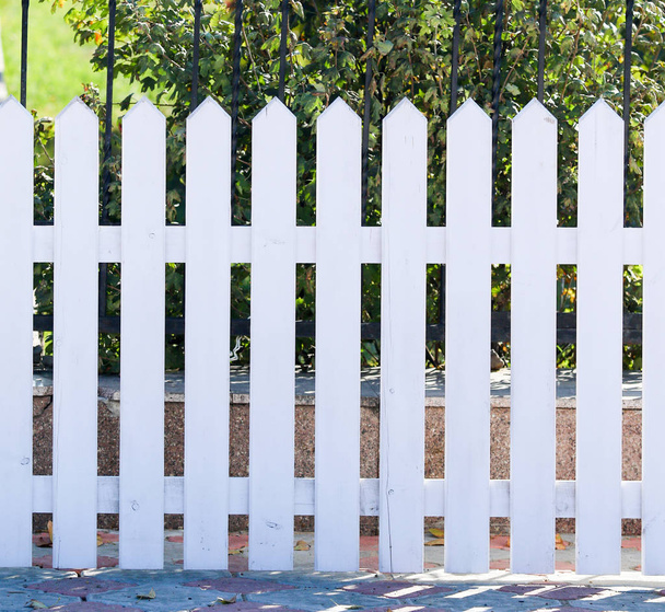 recinzione dal recinto bianco
 - Foto, immagini