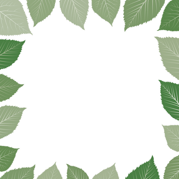 Yeşil yapraklı çerçeve - Vektör, Görsel