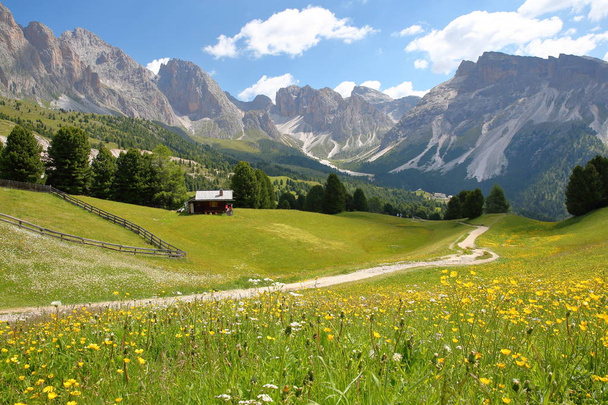Puez Odle pohoří při pohledu z navyšoval průchodu nad Santa Cristina s barevnými květinami a horské chatě v popředí, Val Gardena, Dolomity, Itálie - Fotografie, Obrázek