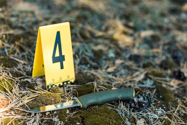El cuchillo está en el bosque. fotos del asesinato y la investigación de la escena del crimen. Arma, cuchillo
 - Foto, imagen