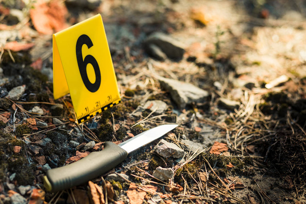Le couteau est dans les bois. des photos du meurtre et de l'enquête sur les lieux du crime. Arme, couteau
 - Photo, image