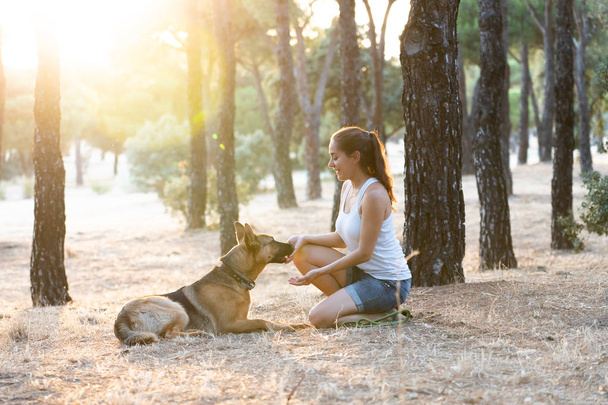 Woman teaching and loving her dog - Zdjęcie, obraz