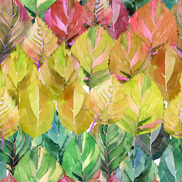 Lovely group of the autumn leaves like rainbow. Graphic bright floral herbal autumn orange yellow leaves pattern watercolor hand sketch. Perfect for textile, wallpapers, wrapping paper - Foto, Imagem