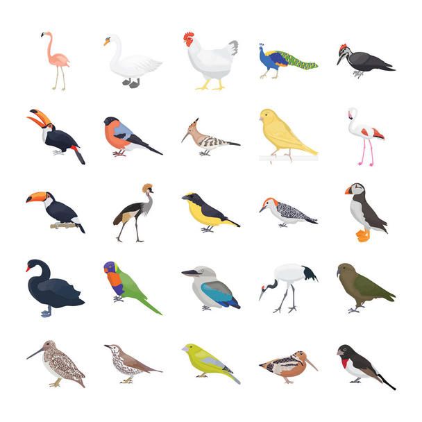 Birds Flat Vector Icons Pack  - Vektor, Bild