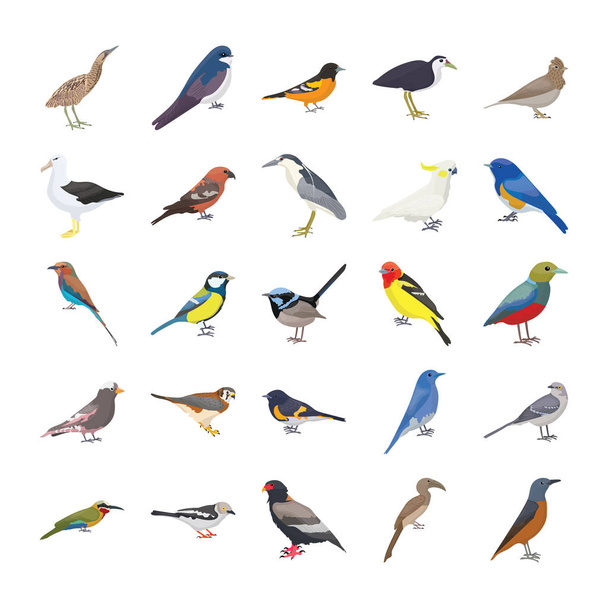 Birds Flat Vector Icons Set  - Vektor, Bild