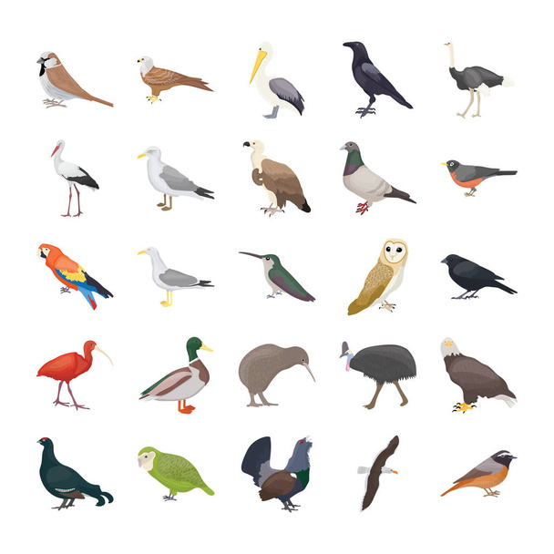 Birds Flat Vector Icons  - Vector, Image