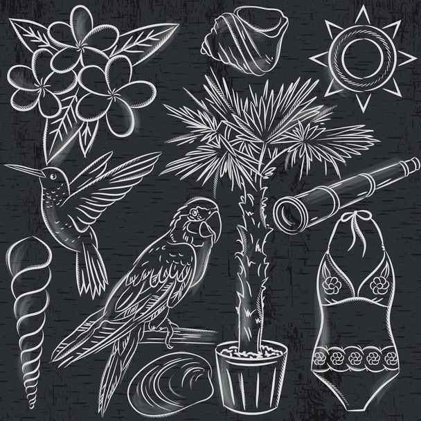 Set of  summer symbols, swim suit, parrot, Hummingbird, palm tree, flowers on  blackboard background, vector illustration - ベクター画像
