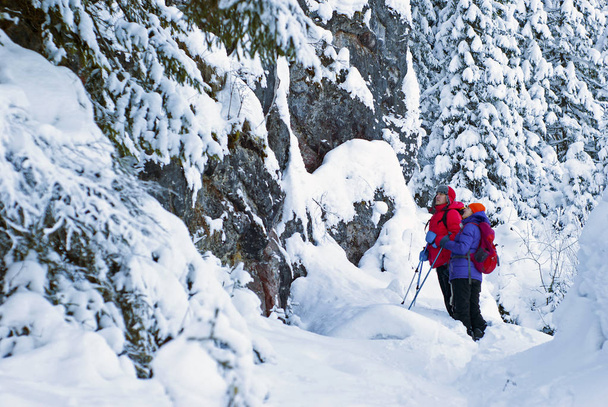 senderistas y excursionistas en un bosque de montaña cubierto de nieve de invierno mirando una enorme cara de acantilado, de pie debajo de ella
 - Foto, imagen