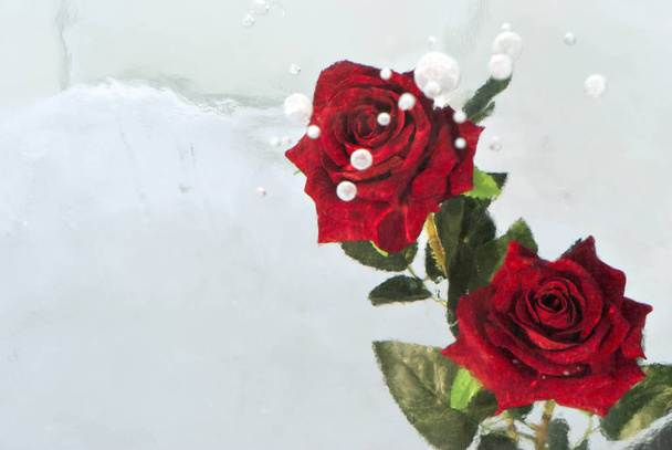 Дві червоні троянди, заморожені в хмарному крижаному блоці з повітряними бульбашками
 - Фото, зображення