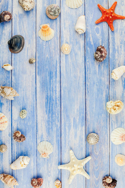 kreatives flaches Lagekonzept für Sommerreisen. Draufsicht auf Muscheln und Seesterne auf pastellblauem Holzplanken-Hintergrund mit Kopierraum im rustikalen Stil, Rahmenvorlage für Text - Foto, Bild