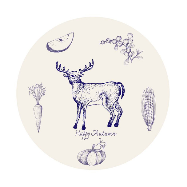 Outono animal, ilustração mão desenhada de Whitetail ou Virgínia cervos com bagas, maçã, milho, abóbora e cenoura. Animal simbólico para mostrar os sinais da temporada de outono
.  - Vetor, Imagem