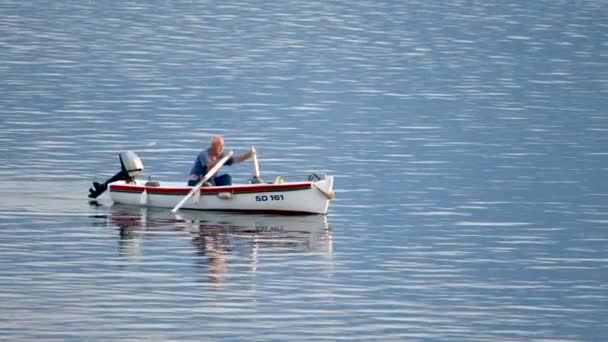 Oude traditionele visser in Kroatië op een kleine houten boot vangen vis en roeien terug in de haven om zijn dagelijkse vangst te verkopen - Video