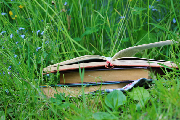 Lectura exterior. Una pila de libros en la hierba. Vacaciones verano
. - Foto, imagen