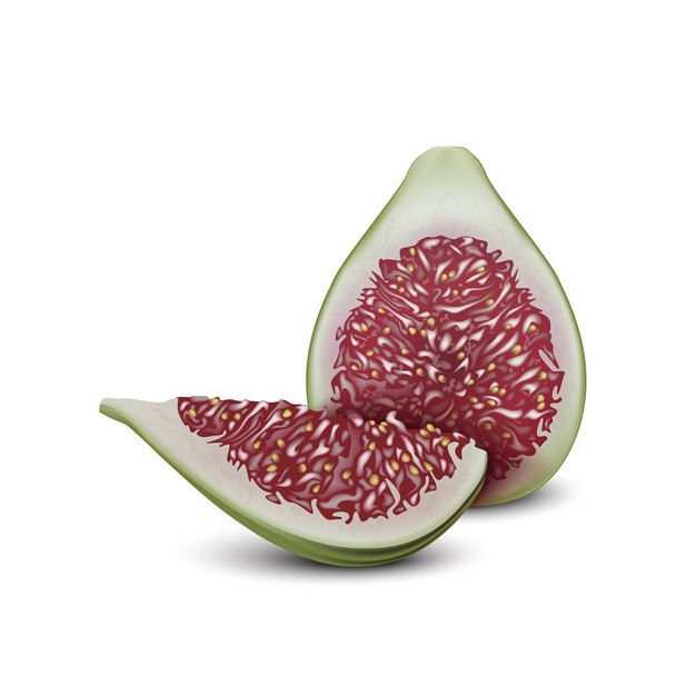 Diseño vectorial realista común de la fruta de higo. 3d corte de higo. Pieza en rodajas. Bueno para el diseño de envases
. - Vector, imagen