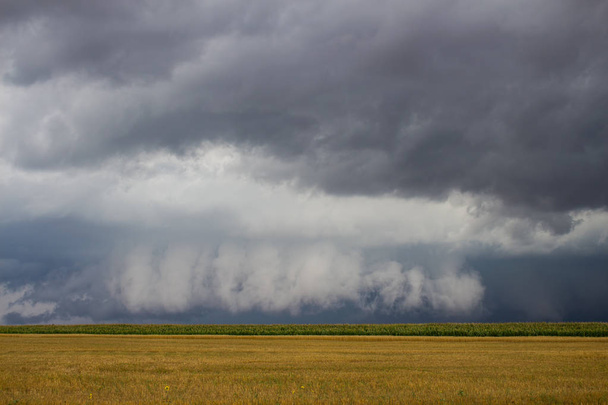 Un orage supercellulaire avec un nuage de mur suspendu bas se profile à l'horizon sur un champ de maïs
. - Photo, image