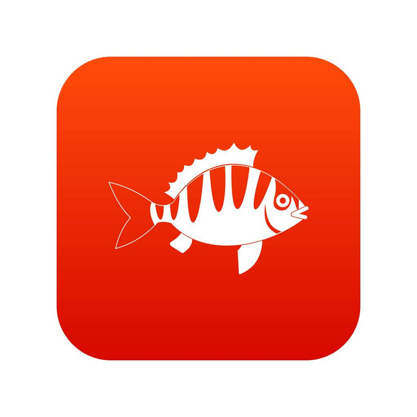 Perch icon digital red - Vetor, Imagem