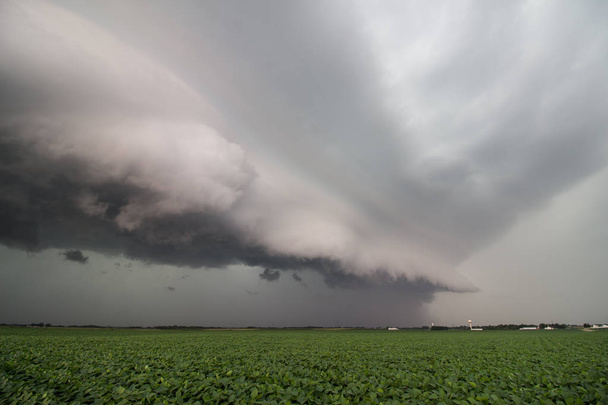 Op zoek langs de voorrand van een strenge onweersbui met een dreigend plank wolk over een veld van de soja in de midwest. - Foto, afbeelding