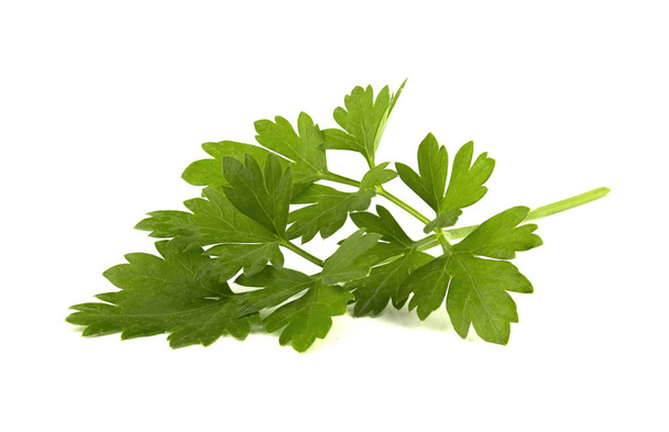 čerstvé zelené petrželové listy izolované na bílém pozadí - Fotografie, Obrázek
