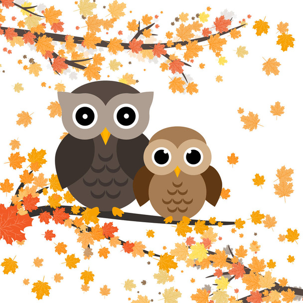 Owls sitting on a branch with leaves.Autumn vector illustration. Falling orange leaves. Cute owl character.  - Vector, afbeelding