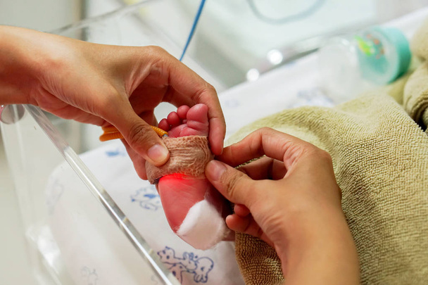 Manos de la enfermera pediátrica que usa un bastón de yeso adhesivo médico y una correa para medir el oxígeno en la sangre y ver el valor del oxígeno para los órganos en los pies del bebé recién nacido en crisis en las salas de cuidados intensivos neonatales del hospital
. - Foto, Imagen