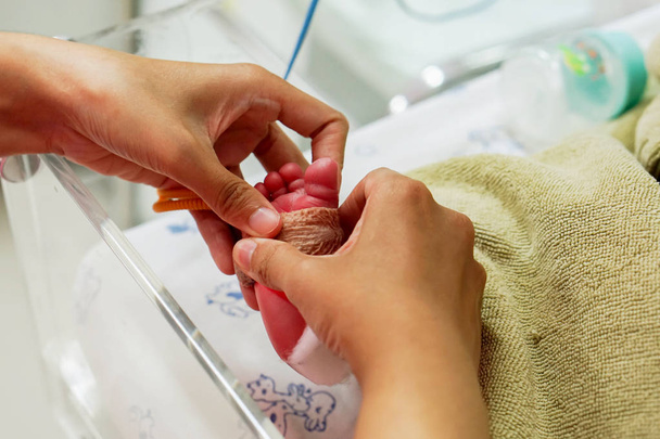 Hands of pediatric nurse using medical adhesive plaster stick and strap to measure oxygen in the blood and see the oxygen value for organs on crisis newborn baby foots at NICU wards in the hospital. - Photo, Image