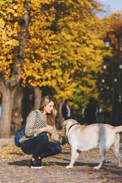 Piękna Młoda Blondynka jest spaceru w parku z jej labrador w parku jesienią. Kobieta przykucnął obok jej pies myśliwski. - Zdjęcie, obraz