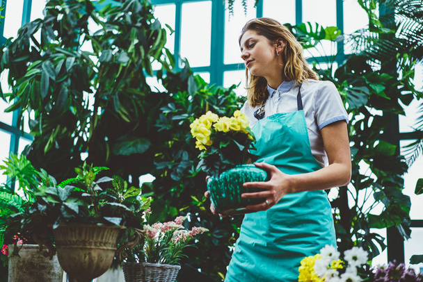 Young woman in apron working in botanic orangery taking care of green flowers growing in pots,professional female florist checking plants holding flower beds with beautiful blossom in glasshous - Fotoğraf, Görsel