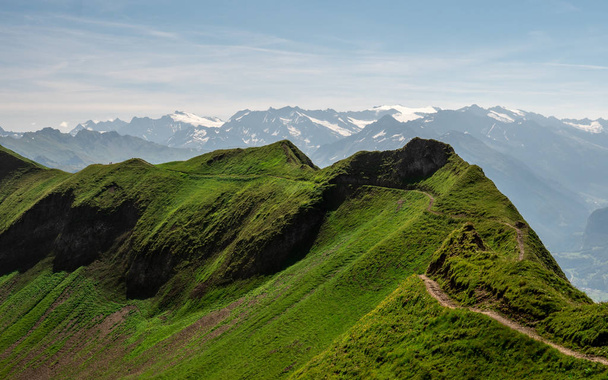 hermoso sendero a lo largo de una montaña durante el soleado día de verano con vacas, cresta caminar hohenweg brienzer rothorn
 - Foto, Imagen